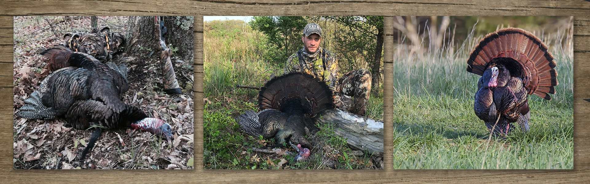 Pennsylvania Spring Turkey Hunts