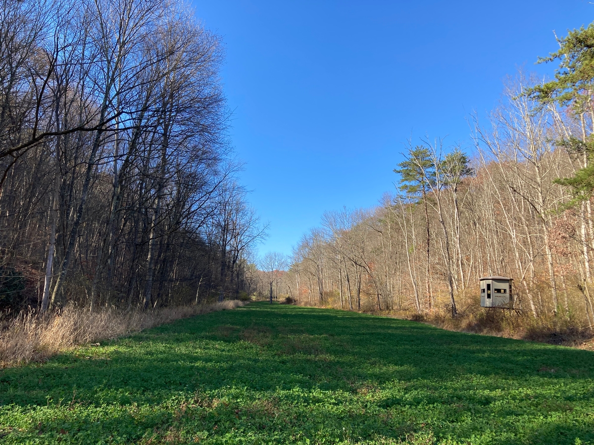 The Preserve