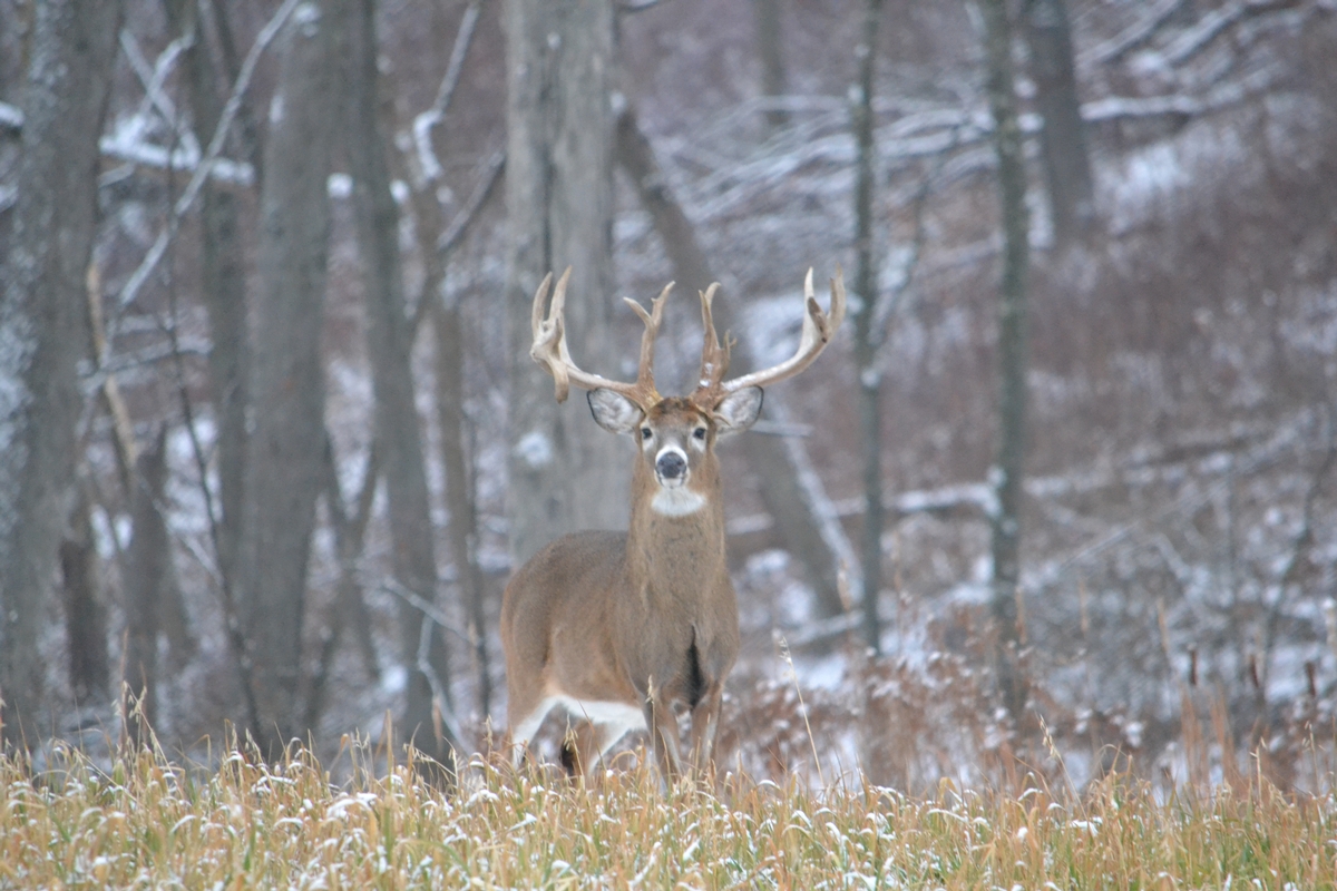 Post Rut Hunts